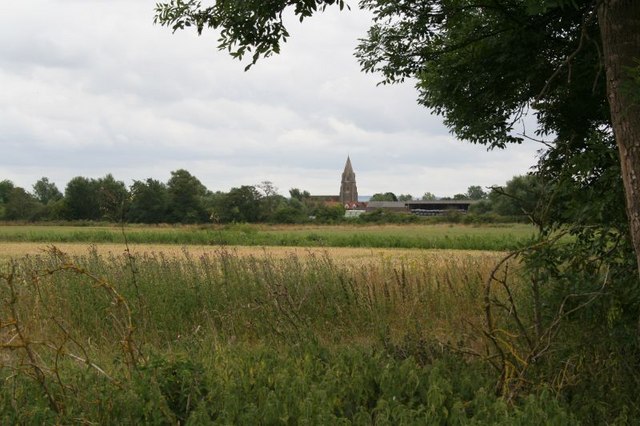 File:Tower in the distance - geograph.org.uk - 1422584.jpg