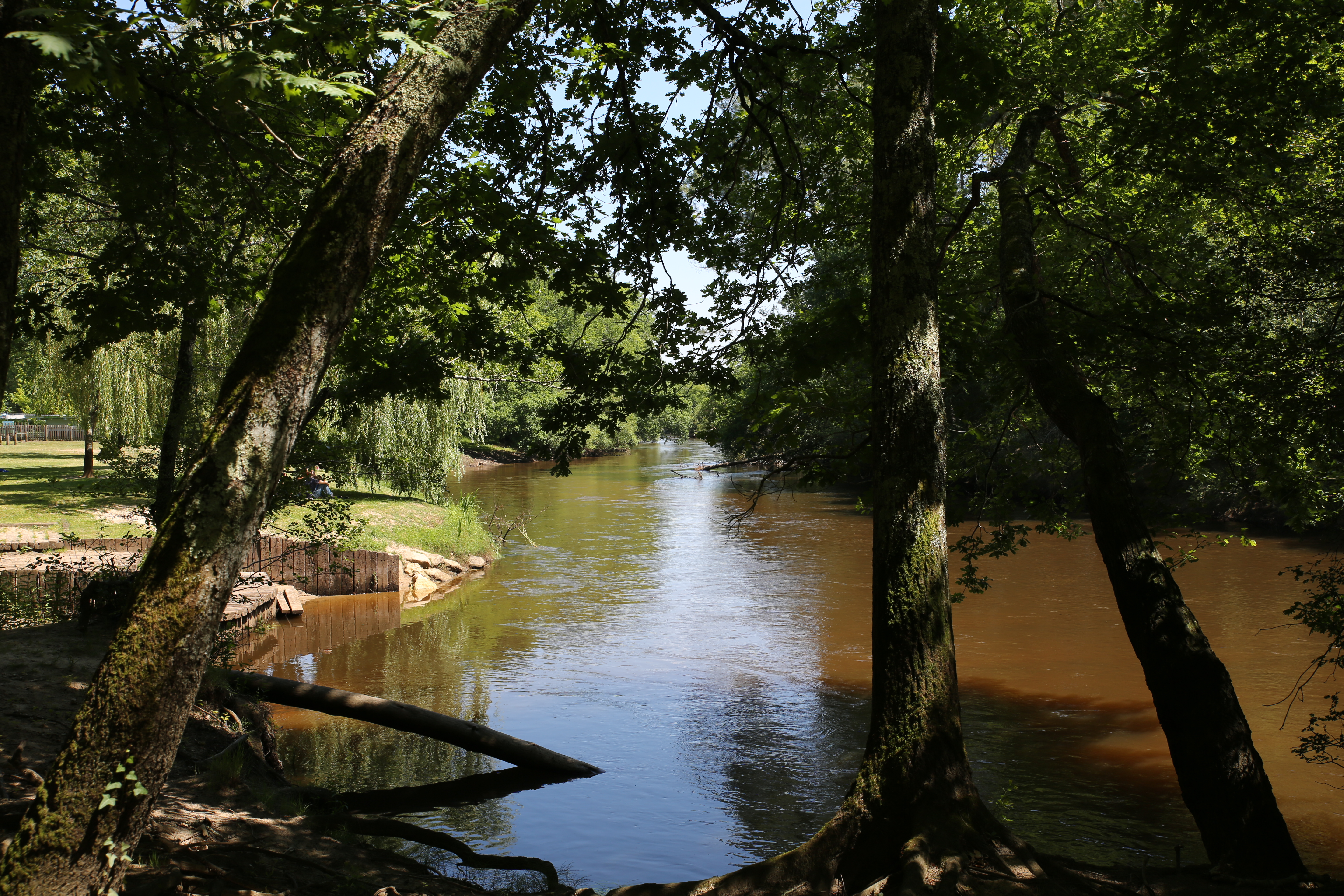 fleuve de l eyre