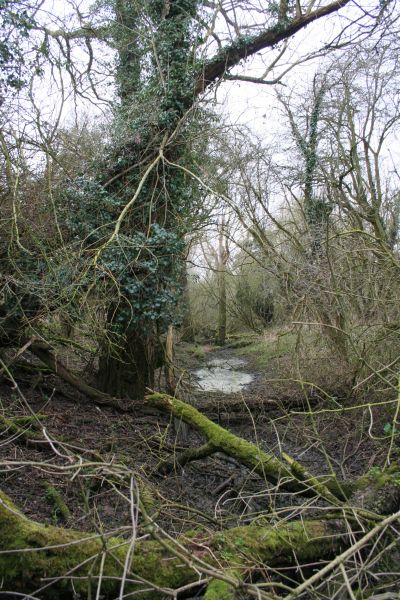 File:Water in this part - geograph.org.uk - 1192246.jpg