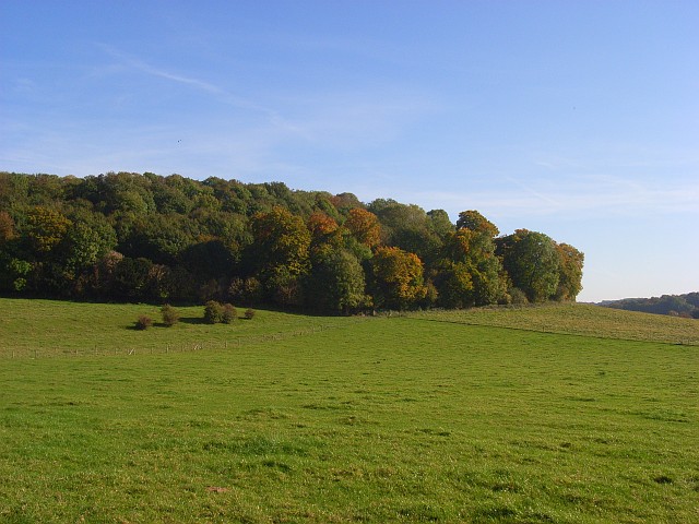 Yoesden Wood, Radnage - geograph.org.uk - 1014245