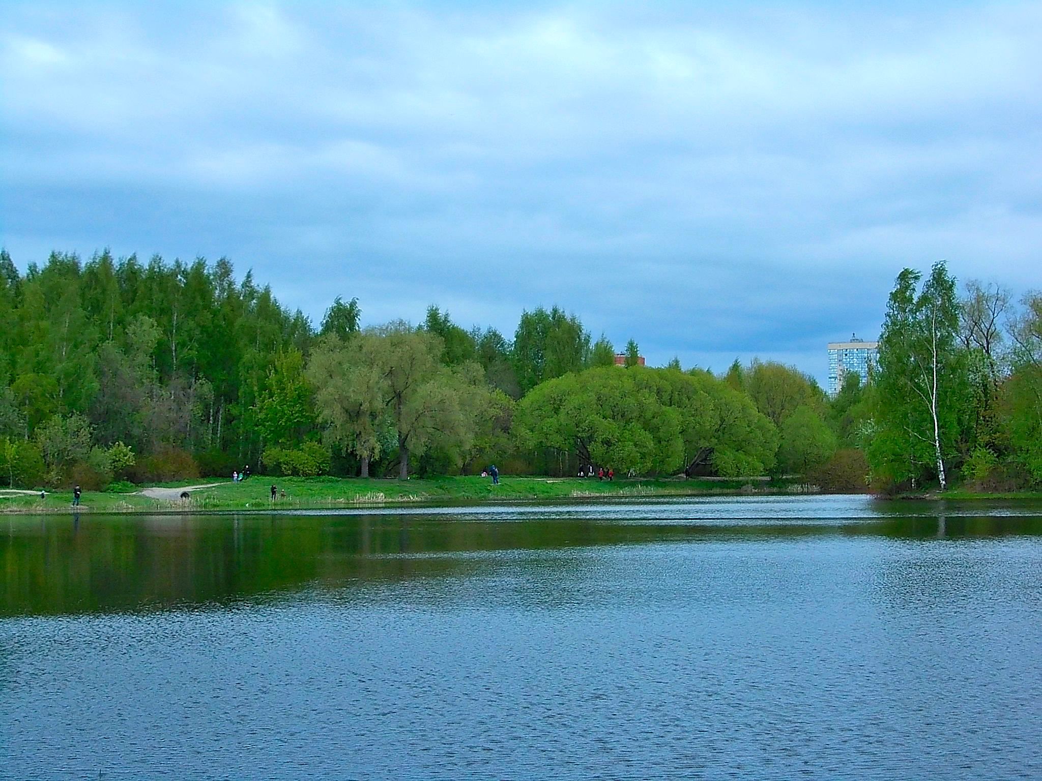 самаровское озеро в королеве