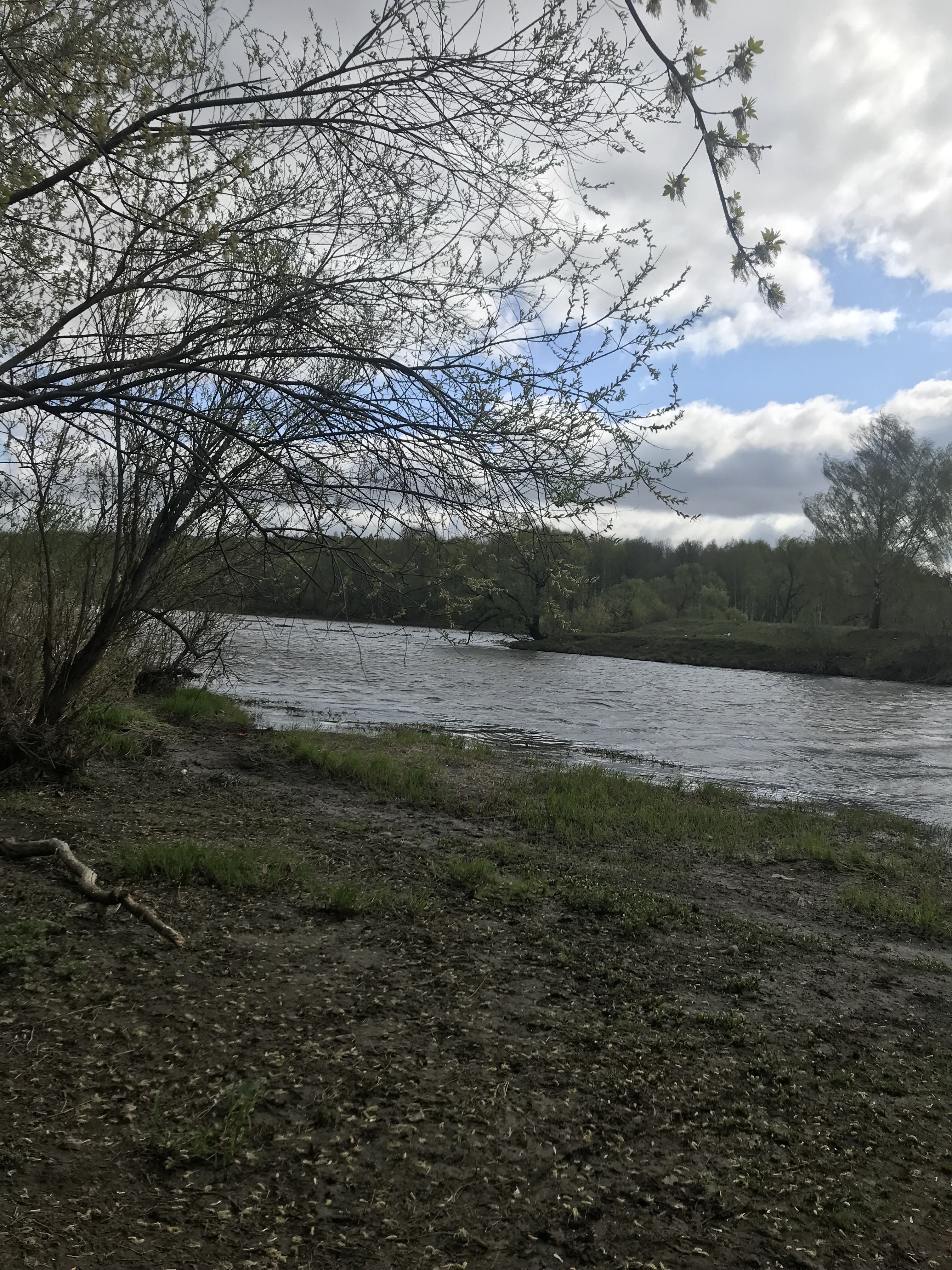 Уровень клязьмы в орехово зуево сегодня