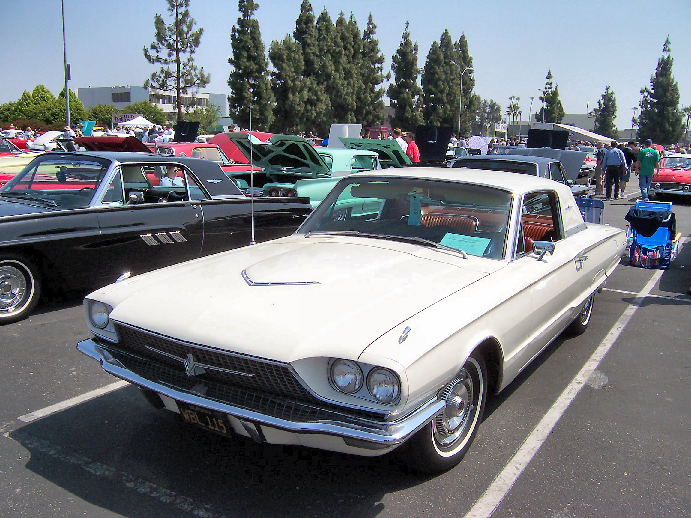 Parts for 1966 ford thunderbird