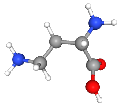 File:2-4-Diaminobutyric-acid Conformer3D large.png
