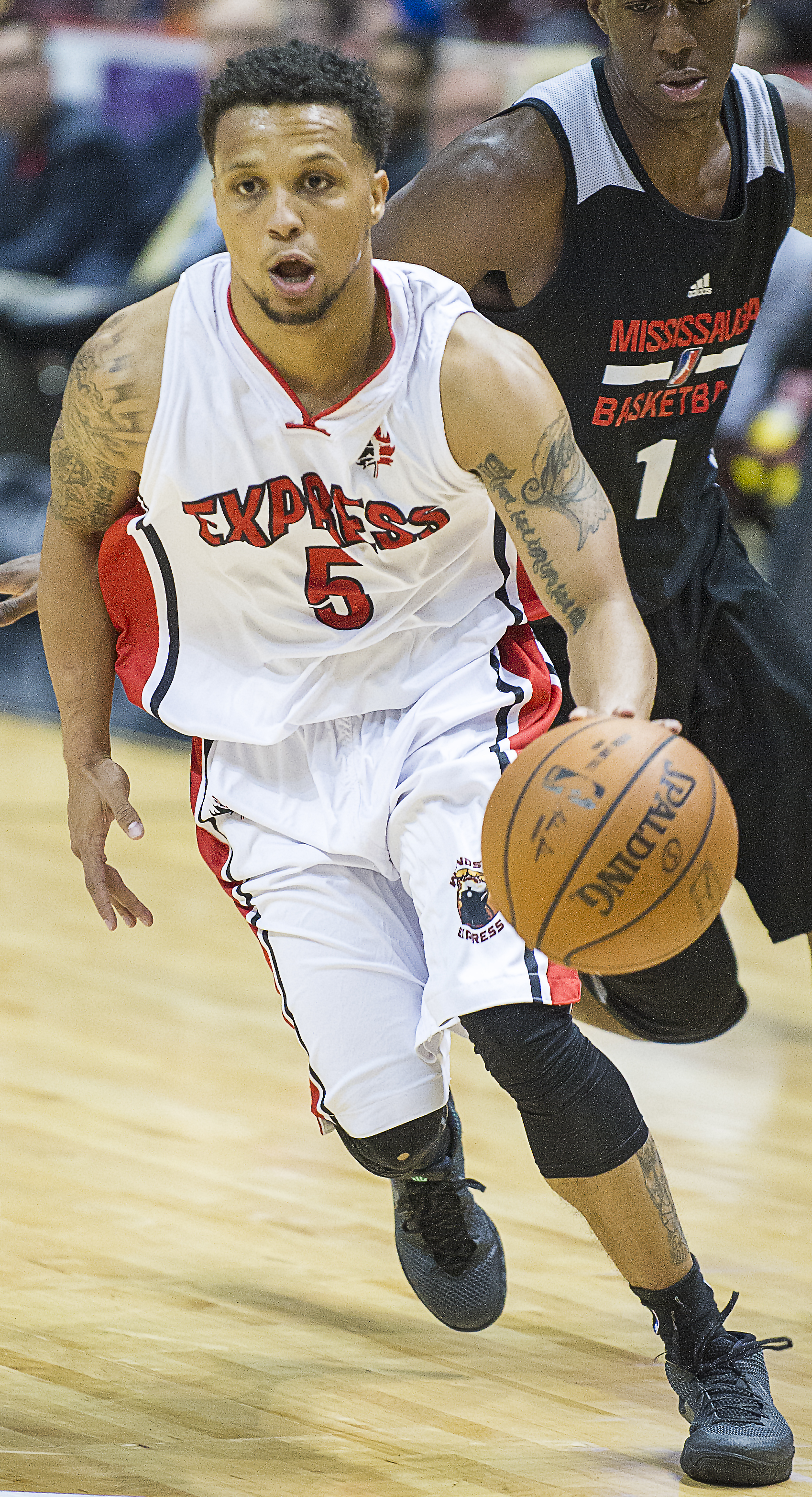 Moss with Windsor Express in 2015