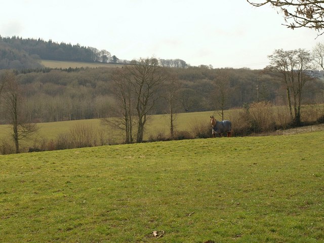 File:At East Butterleigh - geograph.org.uk - 1766593.jpg