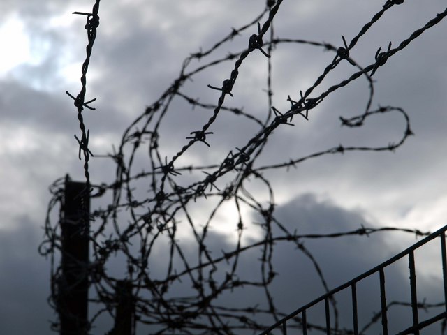 File:Barbed wire - geograph.org.uk - 732715.jpg