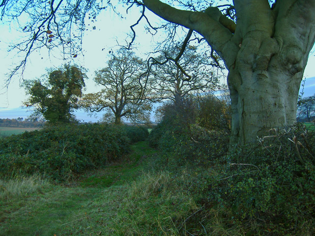 File:Beverley 20 footpath near Walkington - geograph.org.uk - 614479.jpg