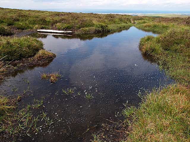 File:Bog pool near summit of Slieu Dhoo. Isle of Man - geograph.org.uk - 31660.jpg
