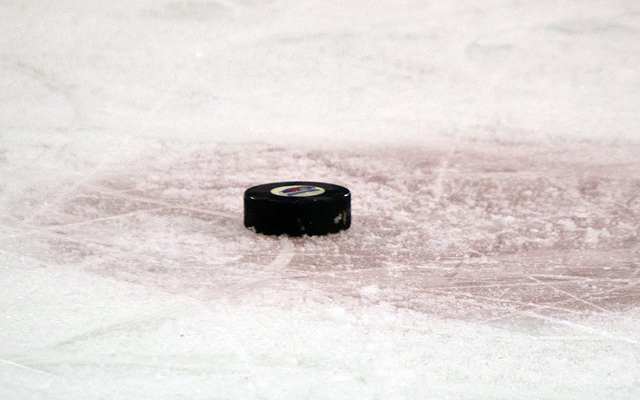 Ice Hockey Puck