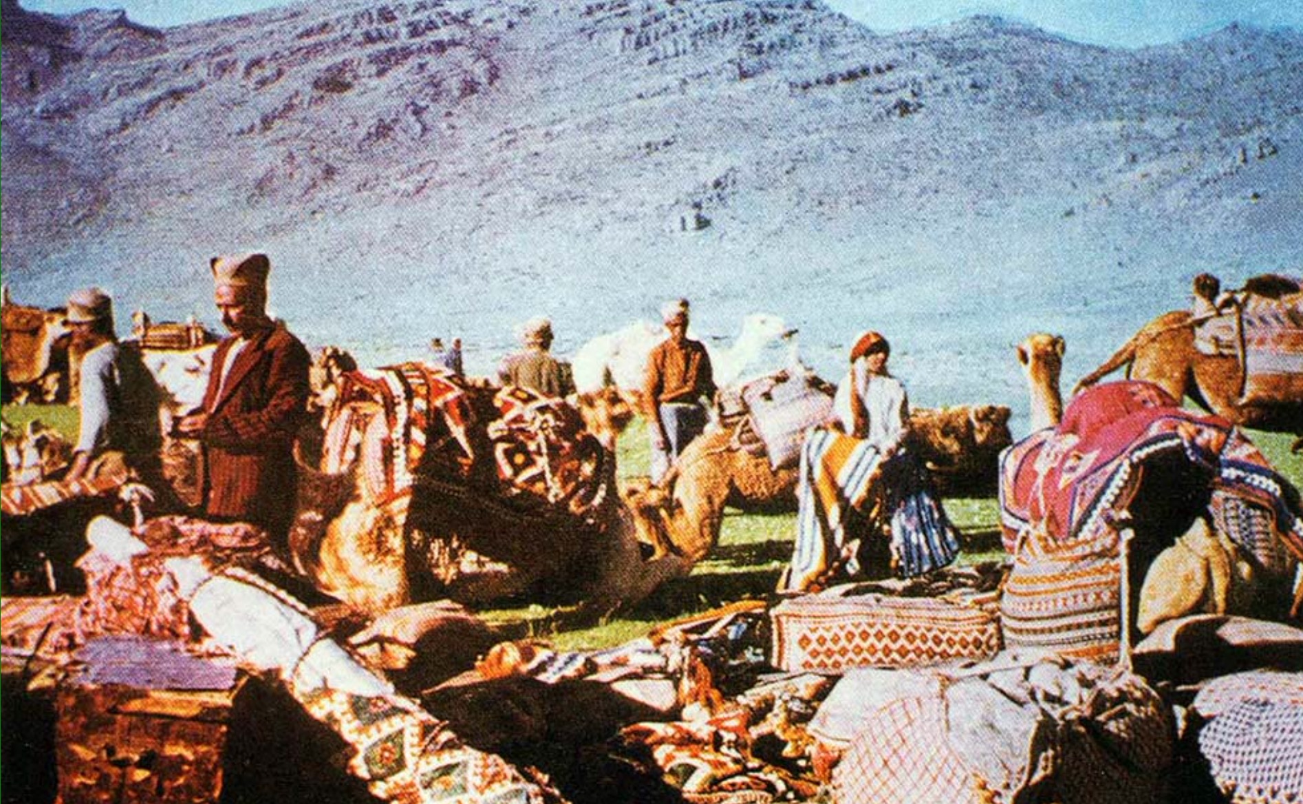 Qashqai people (pronounced [ɢæʃɢɒːˈjiː]; Persian: قشقایی) are a tribal confederation in Iran mostly of Turkic origin. They are also believed to have incorporated Lurs, Kurds, and Arabs. Almost all of them speak a Western Turkic (Oghuz) language known as the Qashqai language — which they call "Turkī" — as well as Persian (the national language of Iran) in formal use. The Qashqai mainly live in the provinces of Fars, Khuzestan, Kohgiluyeh and Boyer-Ahmad, Chaharmahal and Bakhtiari, Bushehr, and southern Isfahan, especially around the cities of Shiraz and Firuzabad in Fars.
The majority of Qashqai people were originally nomadic pastoralists and some remain so today. The traditional nomadic Qashqai traveled with their flocks twice yearly between the summer highland pastures north of Shiraz roughly 480 km or 300 miles south and the winter pastures on lower (and warmer) lands near the Persian Gulf, to the southwest of Shiraz. The majority, however, have now become partially or wholly sedentary. The trend towards settlement has been increasing markedly since the 1960s under government pressure, and encouragement, which has built housing for those willing to settle, starting in the early 20th century during the reign of the Pahlavi dynasty; However, for those who continue their migratory lifestyle, the Iranian government maintains and controls travel corridors for the Qashqai and their livestock, and other populations practicing pastoral migrations.The Qashqai are made up of five major tribes: the Amale (Qashqai) / Amaleh (Persian), the Dere-Shorlu / Darreh-Shuri, the Kashkollu / Kashkuli, the Shishbeyli / Sheshboluki and the Eymur / Farsimadan. Smaller tribes include the Qaracha / Qarache'i, Rahimli / Rahimi and Safi-Khanli / Safi-Khani.