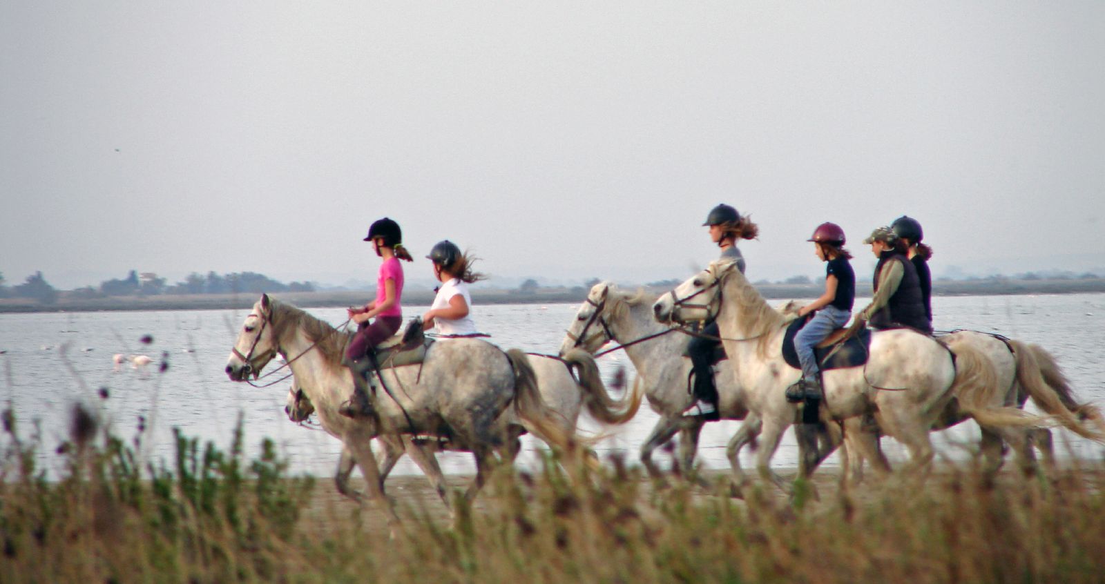 promenade cheval 37