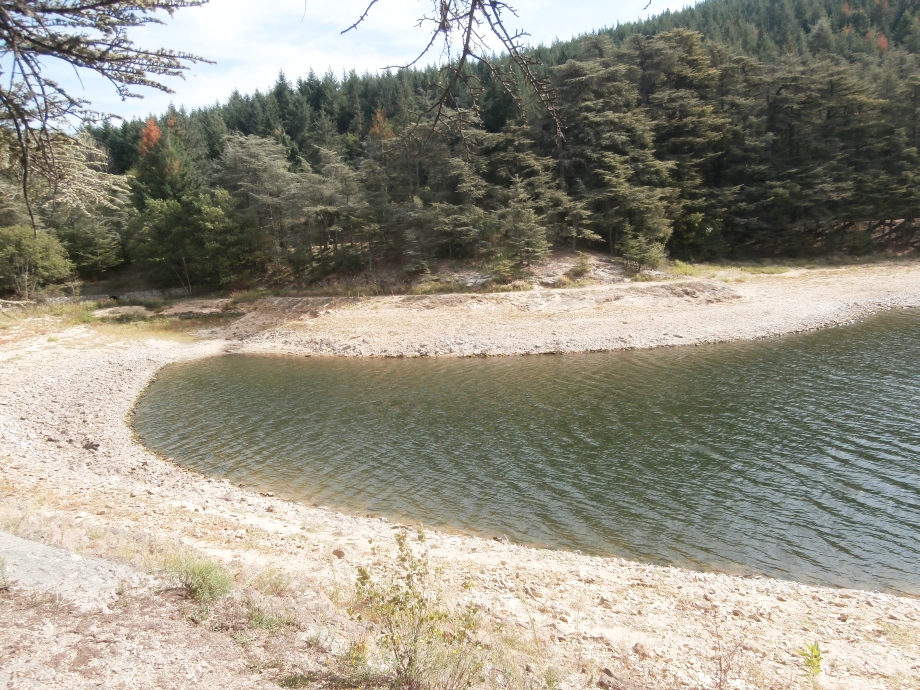 Chemin du Lac Meech