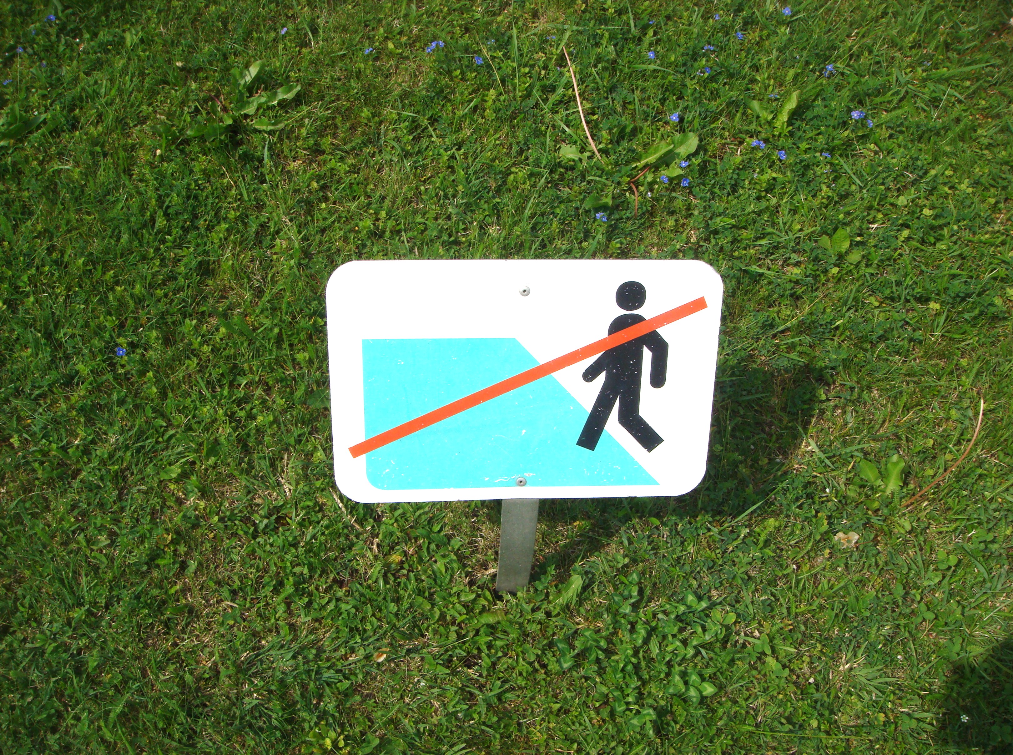 Dont file. Mustn't Step on the grass.