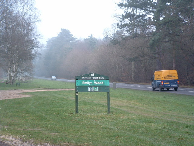 File:Emilys Wood - geograph.org.uk - 328766.jpg