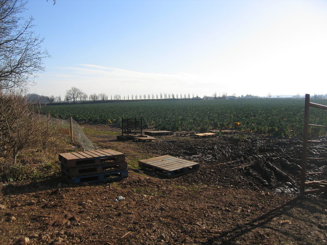 File:Fields at Middle Hunscote farm - geograph.org.uk - 120057.jpg