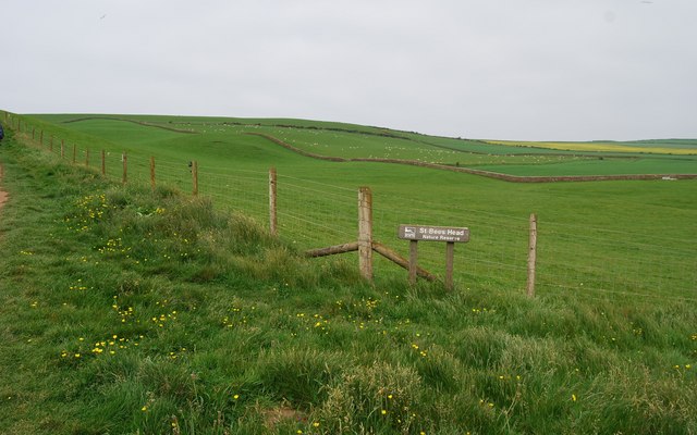 File:Fields off the coastal path, St Bees - geograph.org.uk - 1344520.jpg