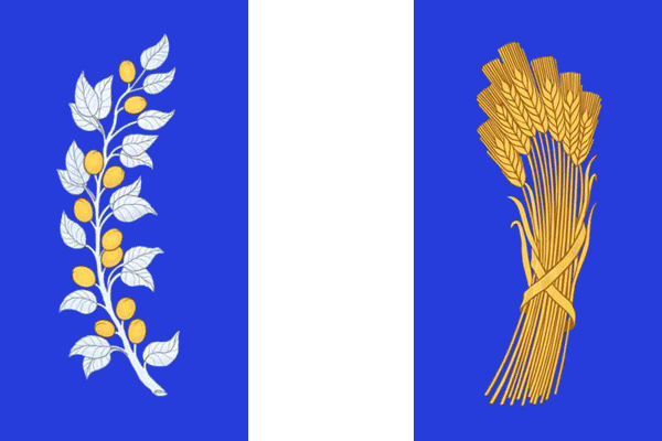 Файл:Flag of Bichursky rayon (Buryatia).png