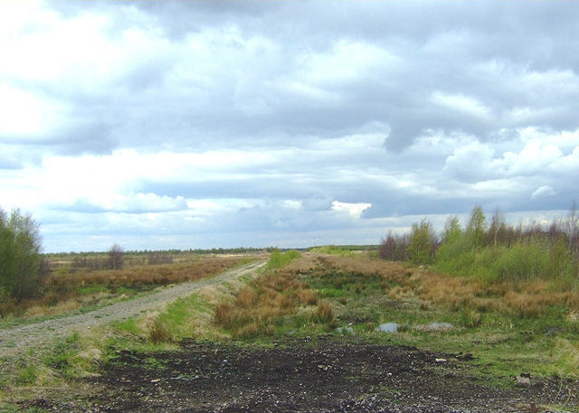 File:Former peat extraction rail line - geograph.org.uk - 788369.jpg