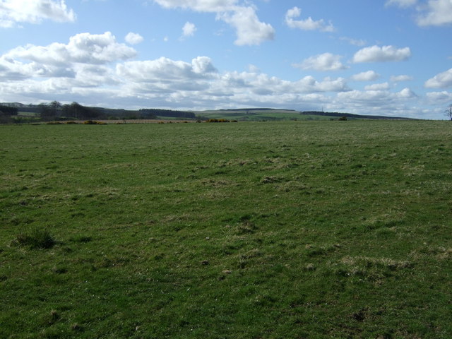 File:Grazing west of the A1 - geograph.org.uk - 4435993.jpg