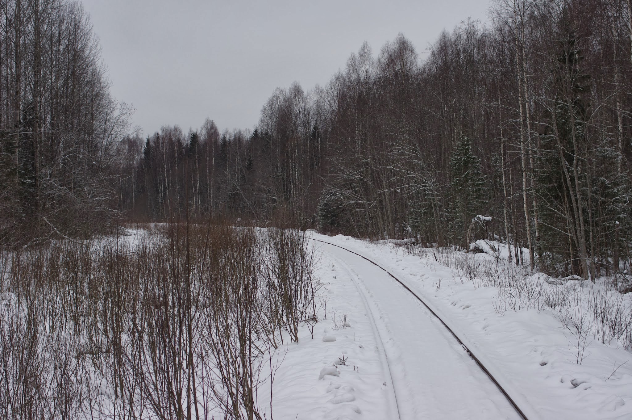 Погода в морозовой