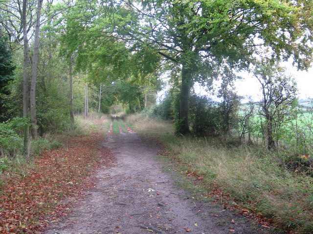 File:Icknield Way near Tingley Wood - geograph.org.uk - 315056.jpg