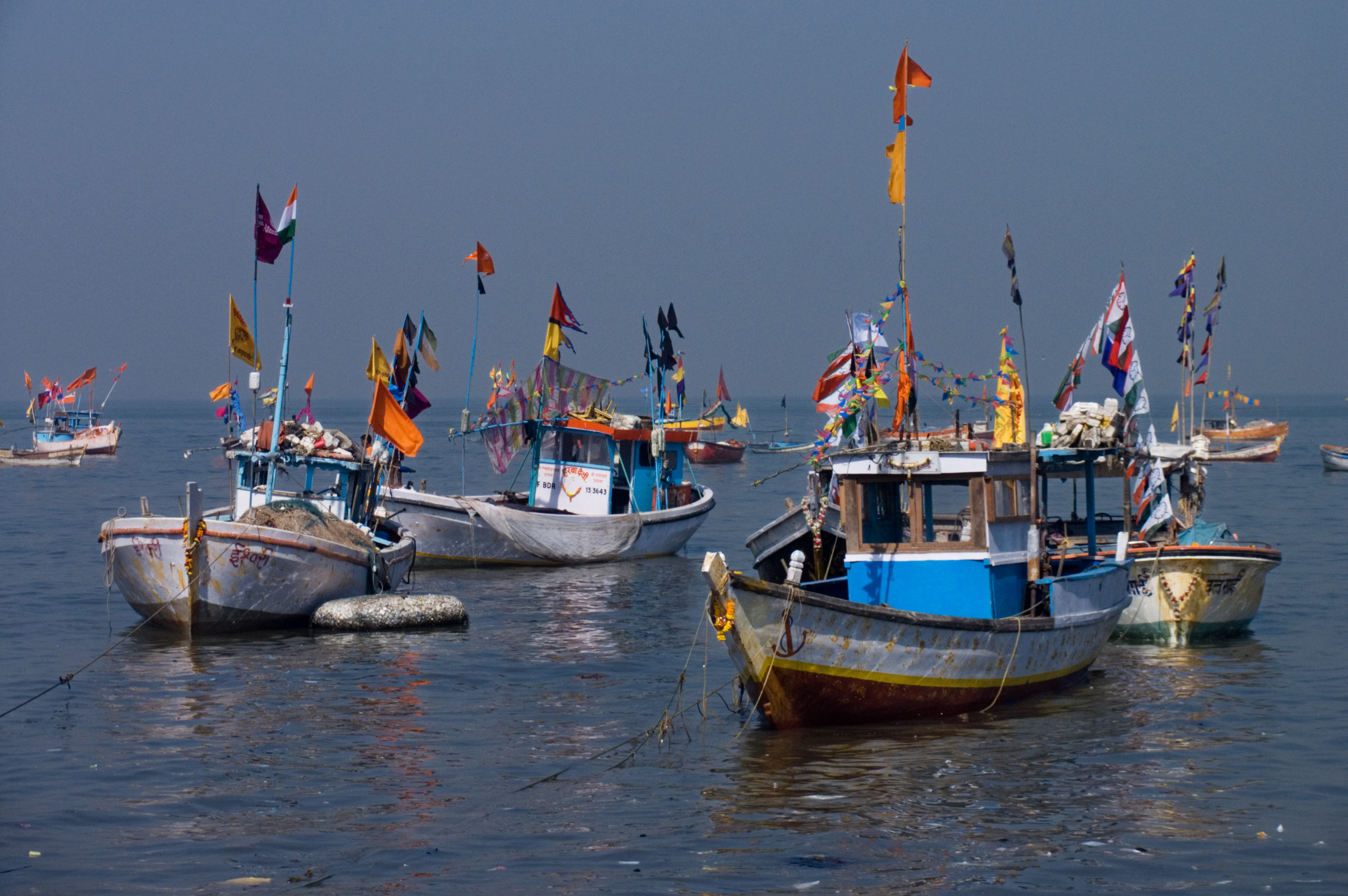 Stock photo of Throw-net fisherman fishing in Pulicat Lake, Tamil