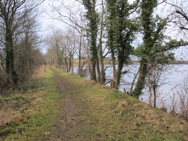 Lakeside Path - geograph.org.uk - 3817449