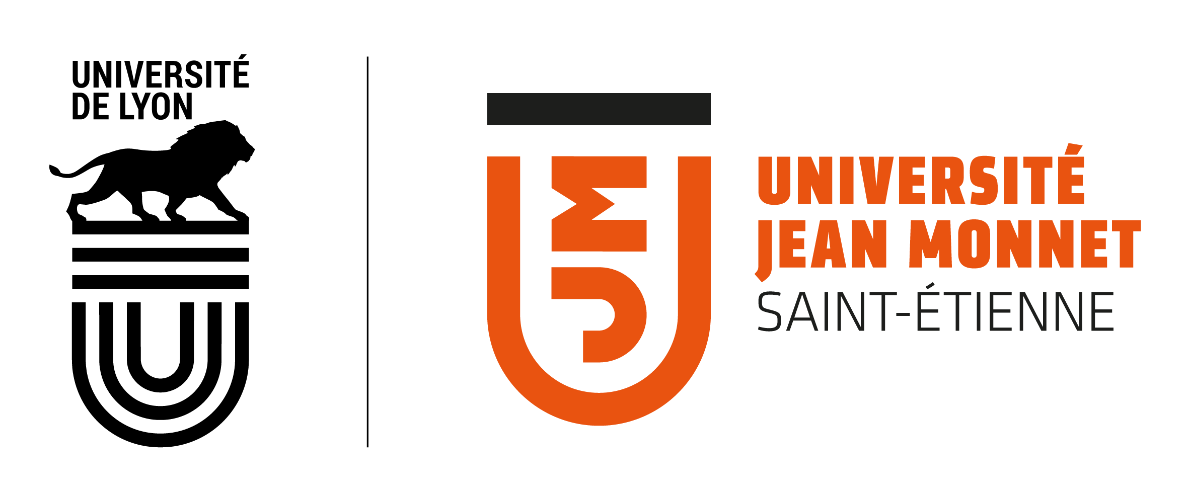 Logo iut saint etienne