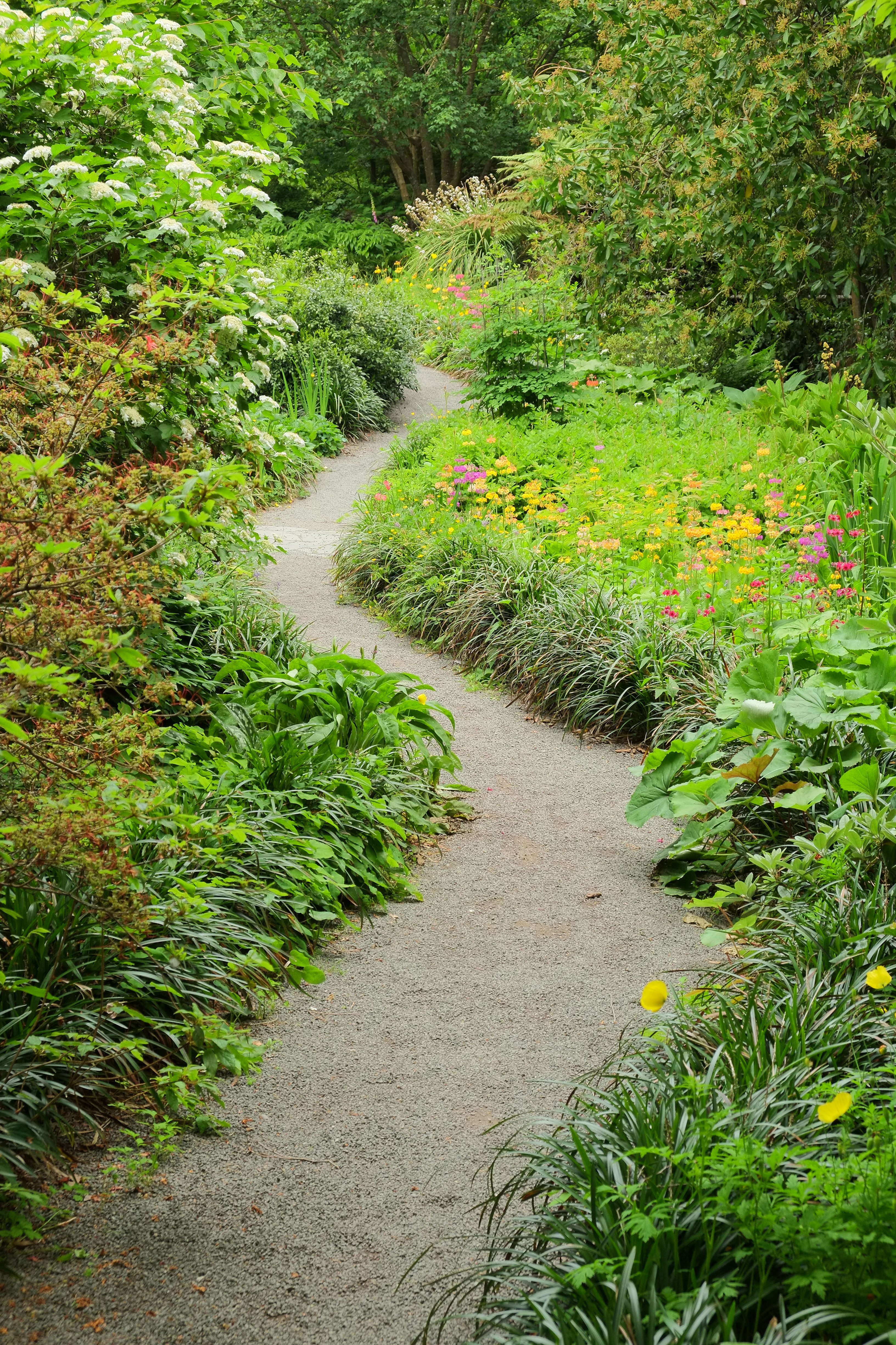 File Meandering Path Near Woodland Garden In Christchurch Botanic