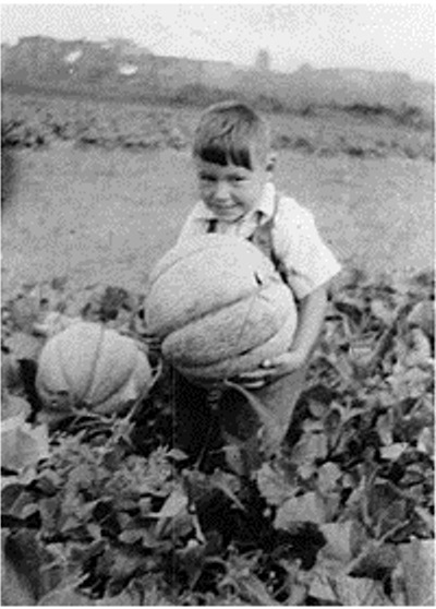 File:Melon de Montreal, 1935.jpg