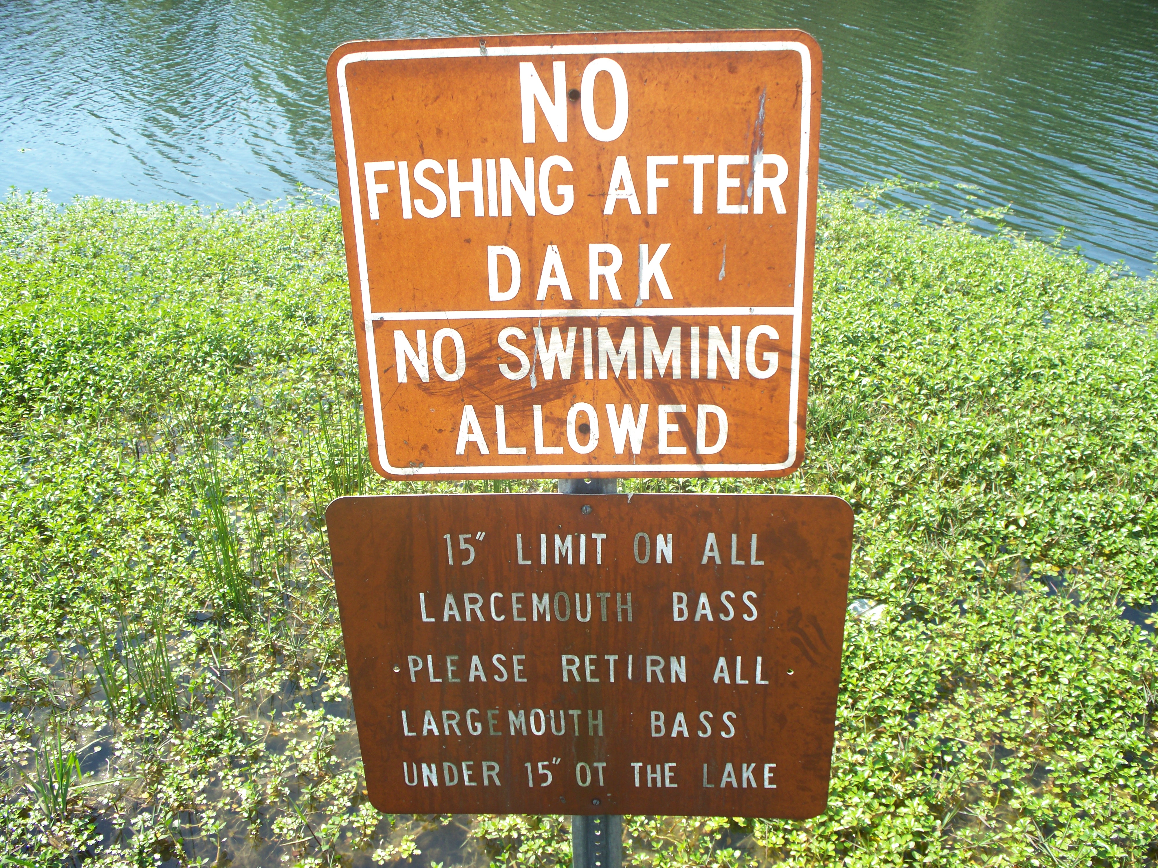 No fish перевод. No Fishing sign. No Fishing. No swimming after Dark.