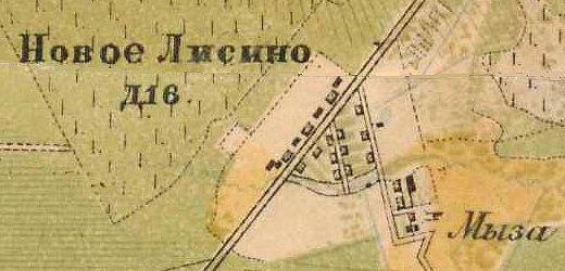 План деревни и мызы Новое Лисино. 1885 год