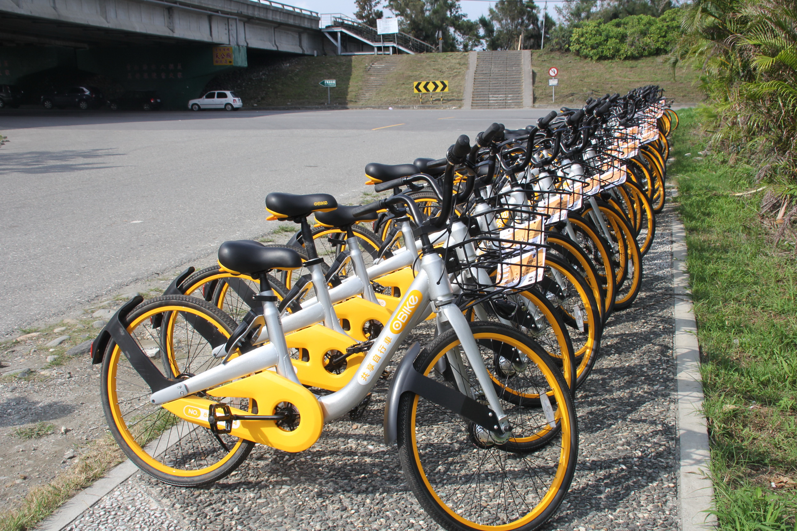 ofo bike hire