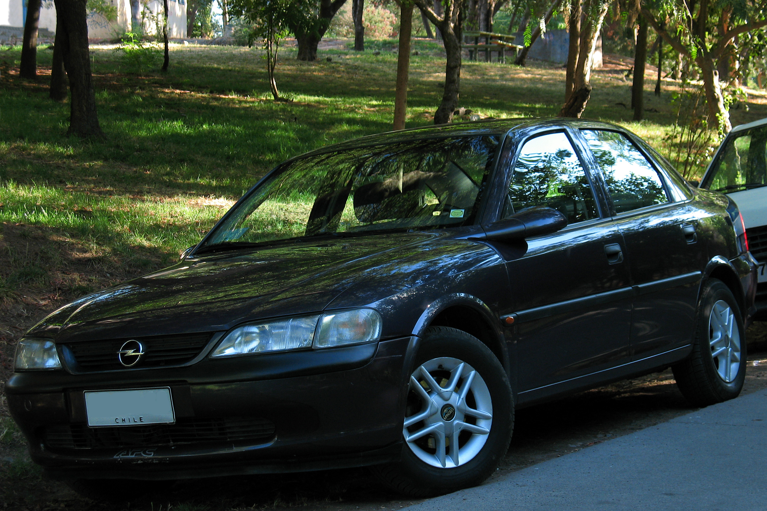 Опель вектра б беларусь. Opel Vectra 1998. Opel Vectra b 1998. Опель Вектра 1.6 1998. Opel Vectra 98.