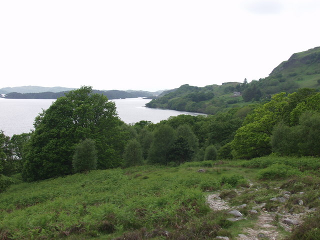 File:Out of The Trees - geograph.org.uk - 187711.jpg