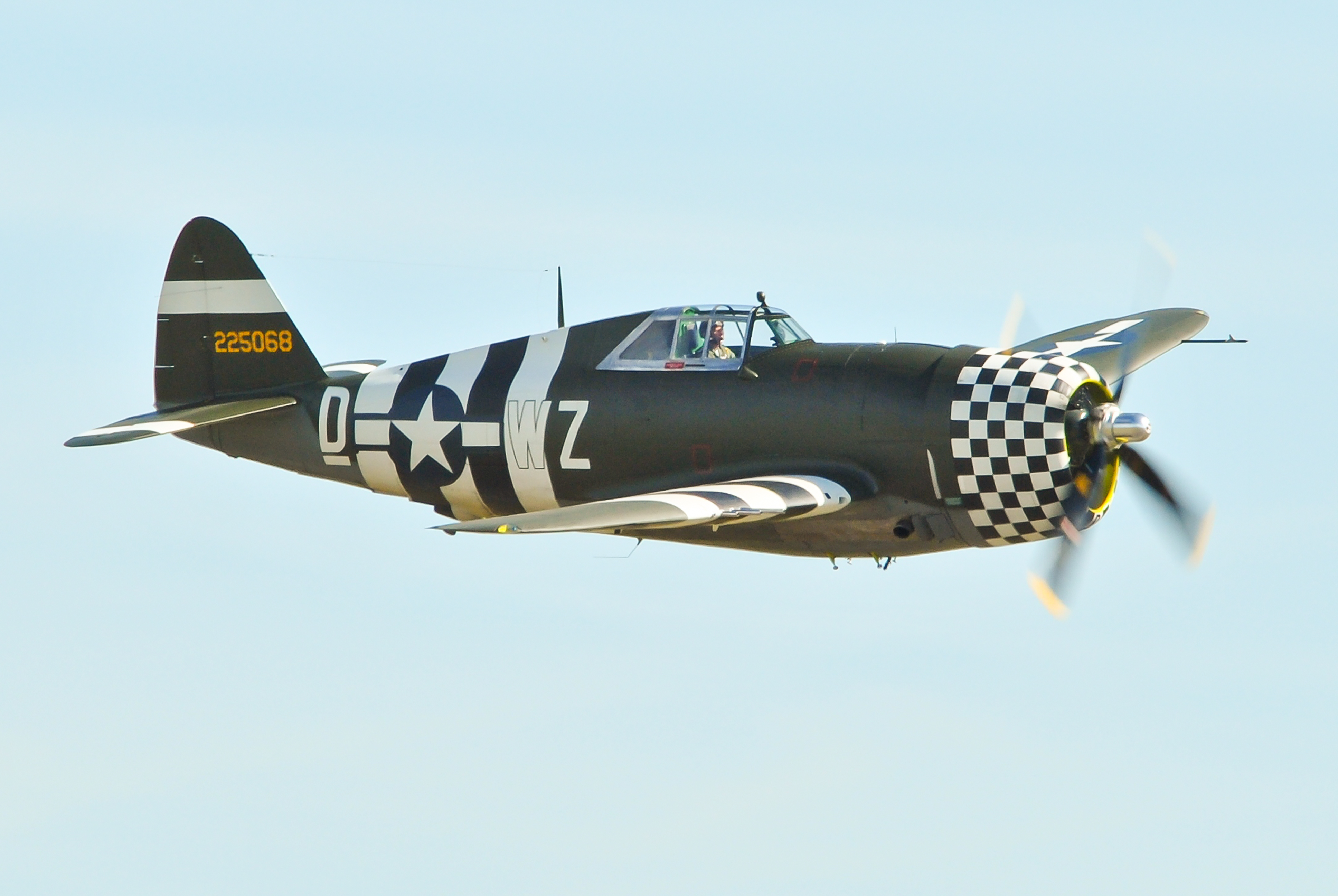 Archivo:P-47 Thunderbolt 42-25068 2012 (7977124689).jpg - Wikipedia, la  enciclopedia libre