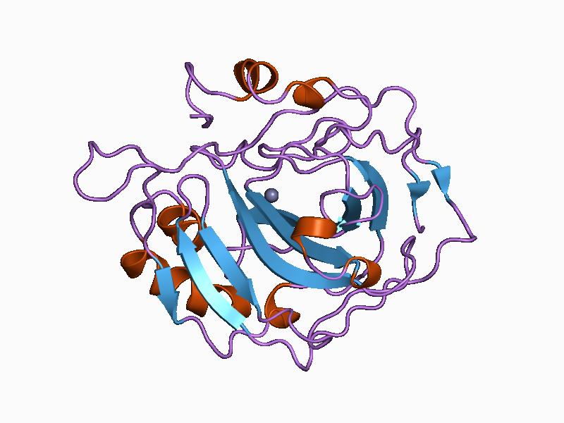 File:PDB 1ca2 EBI.jpg