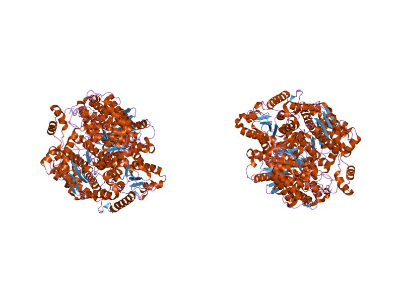 File:PDB 1jlh EBI.jpg