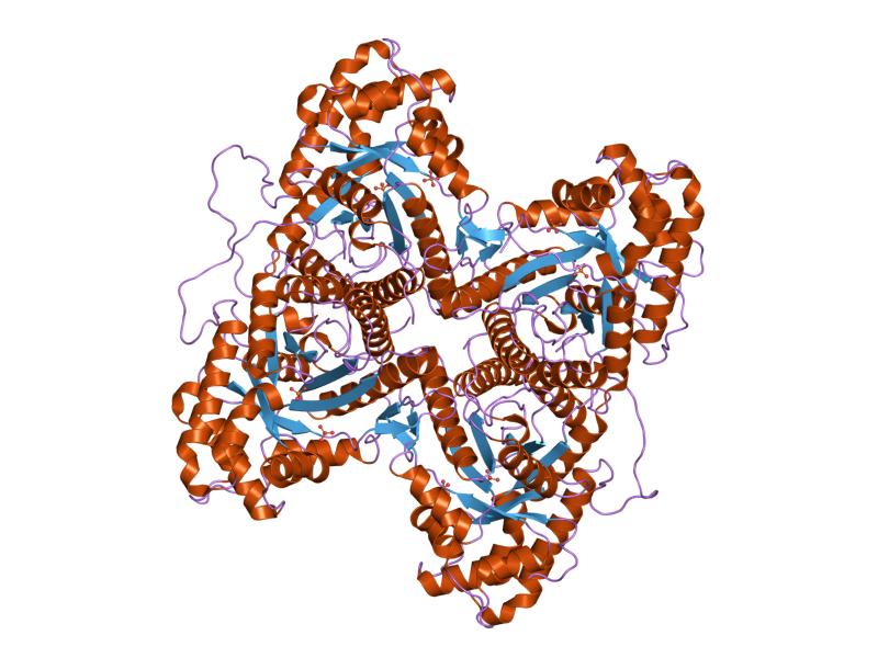 File:PDB 1zal EBI.jpg