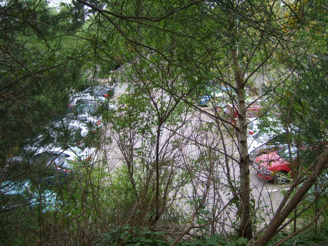 File:Public Car Park - geograph.org.uk - 802628.jpg