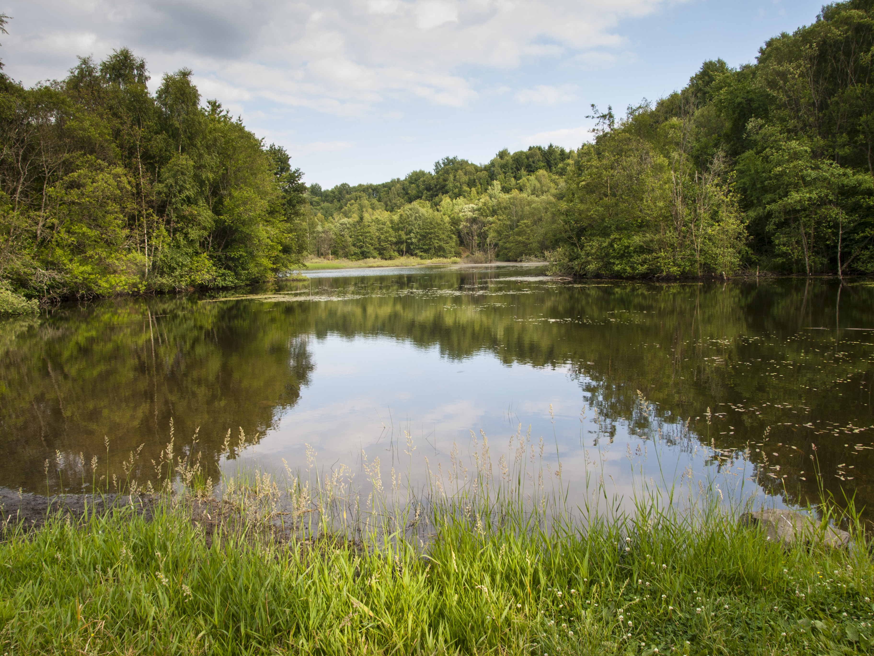 Rosenheim Lay nature reserve, Rhineland-Palatinate, Germany