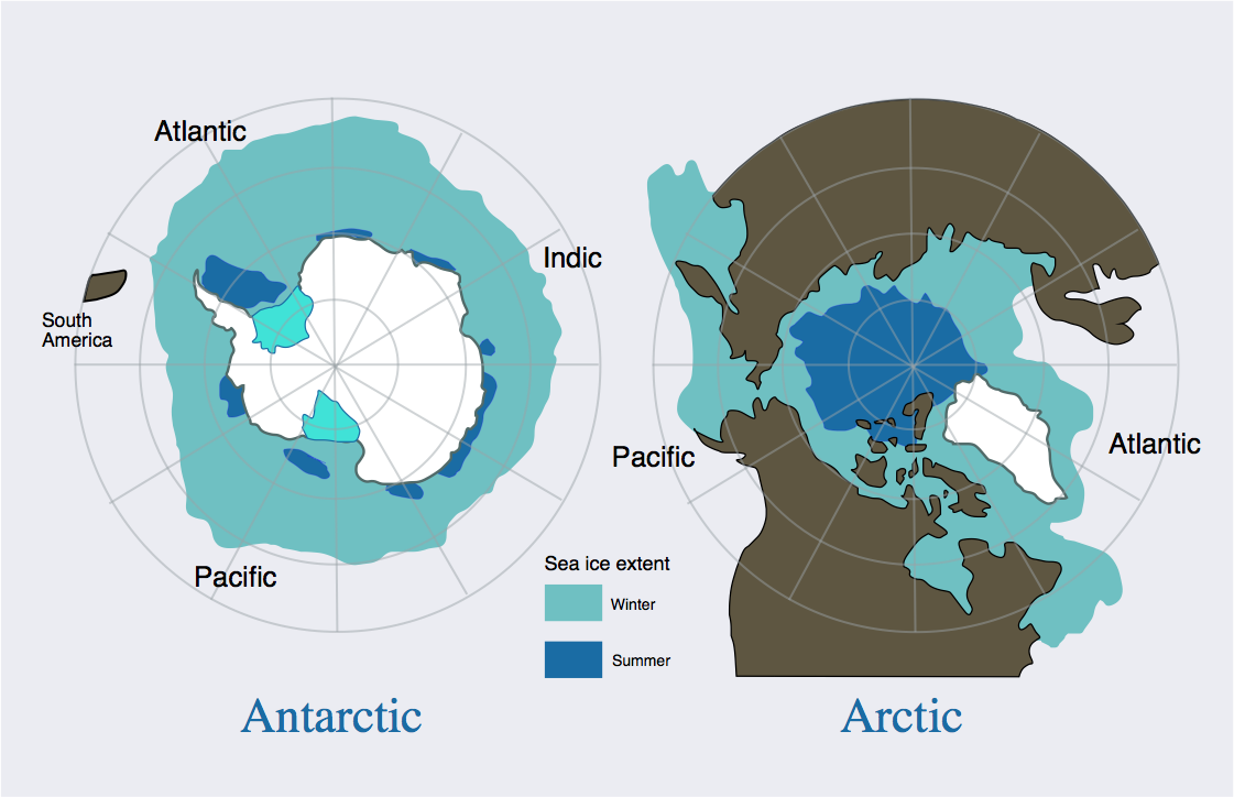 Арктика какой полюс. Arctic vs Antarctic. Arctic and Antarctic Map. Arctic and Antarctic on the Map. Arctic and the Antarctic карта.