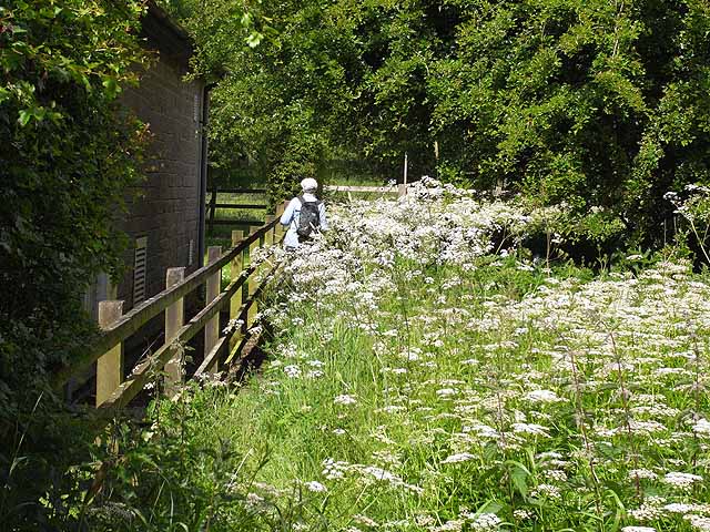 File:St Oswald's Way at Kirkwhelpington - geograph.org.uk - 1355105.jpg