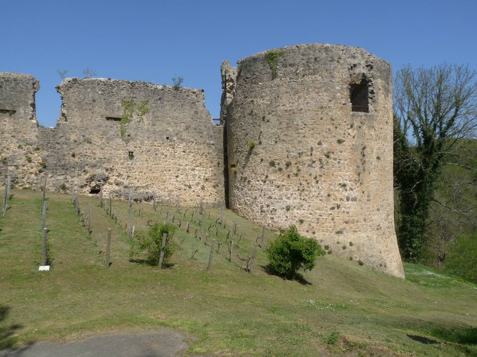 Castle 10