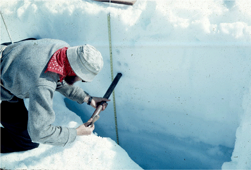 Bestand:Taku glacier firn ice sampling.png