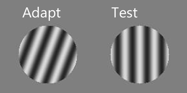 Optical illusion - Wikipedia