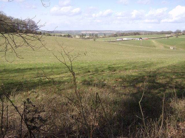 Towards Wield Wood Farm - geograph.org.uk - 369963