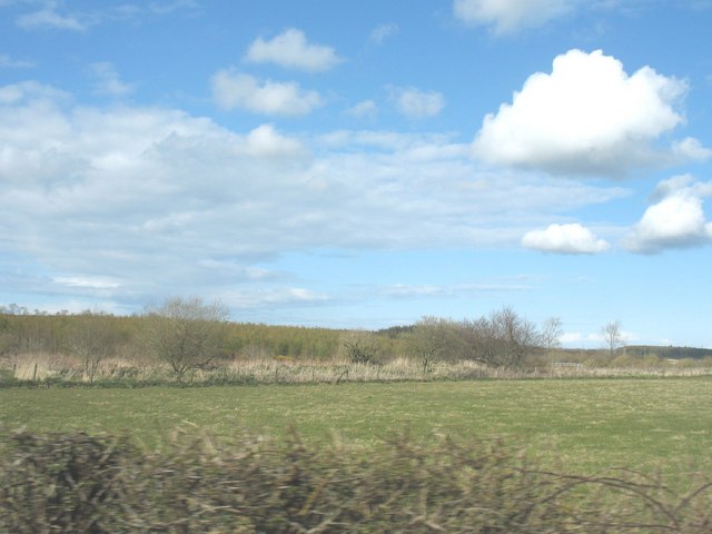 File:View across fields to the woodland at the SW end of the Cefni Reservoir - geograph.org.uk - 767801.jpg