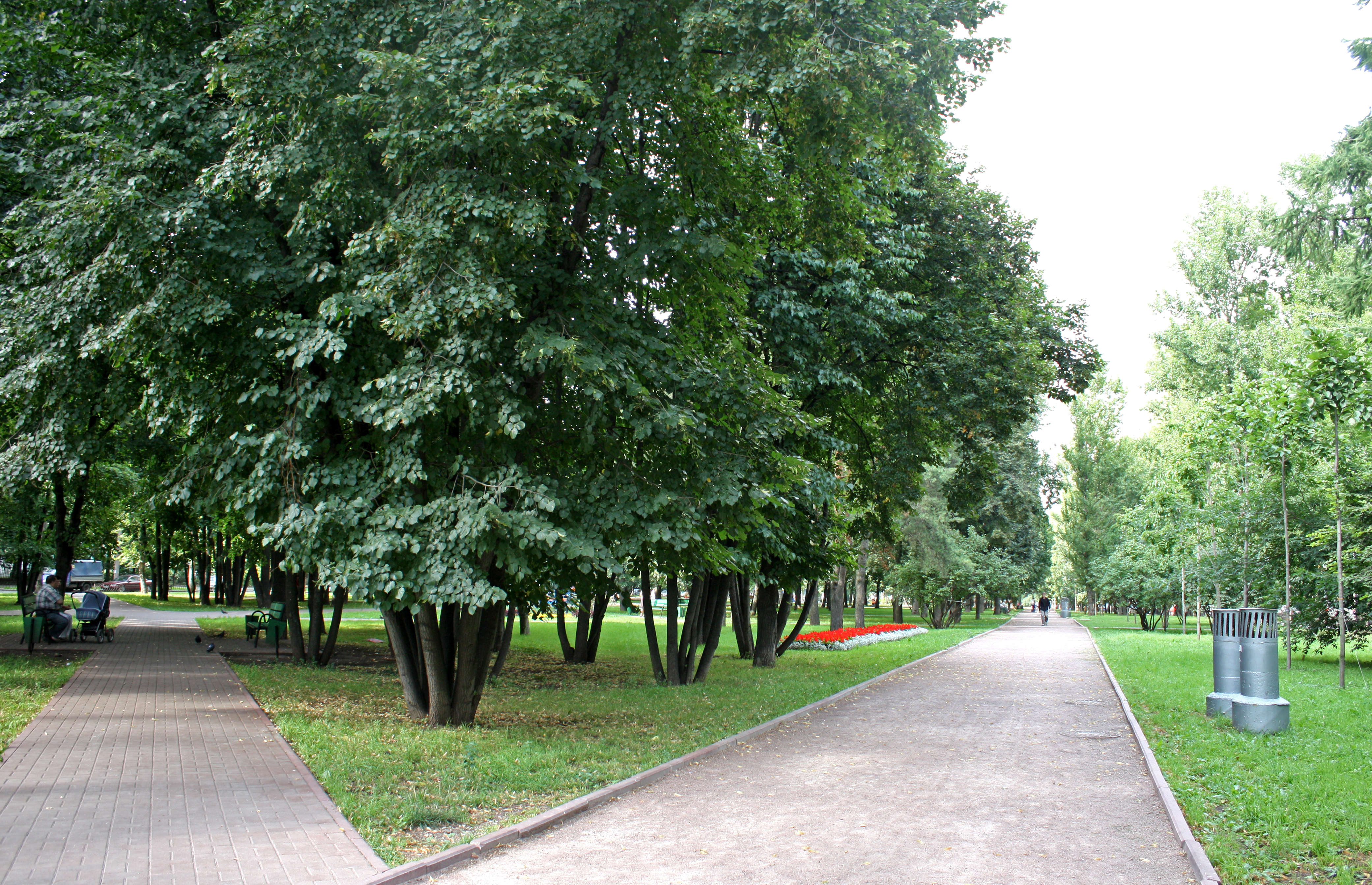 Г москва ул генерала. Бульвар Генерала Карбышева. Сквер Генерала Карбышева. Москва проспект Генерала Карбышева. Сквер на бульваре Карбышева.